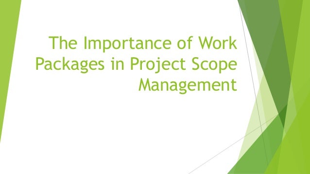 The Importance of Work
Packages in Project Scope
Management
 