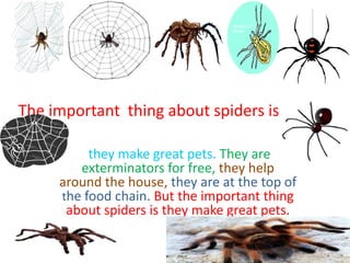 The important thing about spiders is
they make great pets. They are
exterminators for free, they help
around the house, they are at the top of
the food chain. But the important thing
about spiders is they make great pets.
 