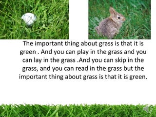 The important thing about grass is that it is
green . And you can play in the grass and you
can lay in the grass .And you can skip in the
grass, and you can read in the grass but the
important thing about grass is that it is green.
 