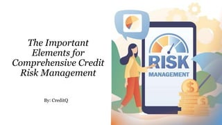 The Important
Elements for
Comprehensive Credit
Risk Management
By: CreditQ
 