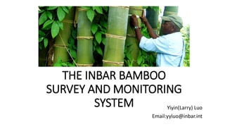 THE INBAR BAMBOO
SURVEY AND MONITORING
SYSTEM Yiyin(Larry) Luo
Email:yyluo@inbar.int
 