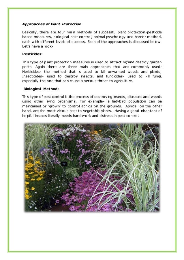 The increasing importance of plant protection & its approaches