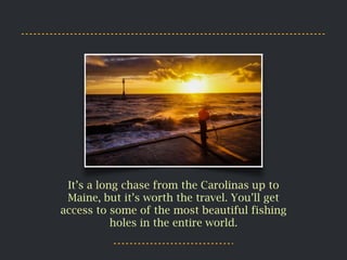 It’s a long chase from the Carolinas up to
Maine, but it’s worth the travel. You’ll get
access to some of the most beautif...