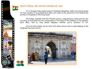 Karni Mata, the Hindu temple of rats

        It's a strange Hindu temple located in Deshnoke (Rajasthan, India); not exactly known
for their worship of the goddess Karni Mata, but rather by the adoration of the faithful who
profess to thousands of rats living inside.

        The temple, originally from the fifteenth century, is populated by a whole army of rats
according to local belief are the reincarnations of the souls of the followers of the goddess,
Karni Mata. And so they should allegiance whether you're believers or not.

        As in all Hindu temple can not enter with shoes and you have to walk stepping on the
droppings they leave rats by.
 