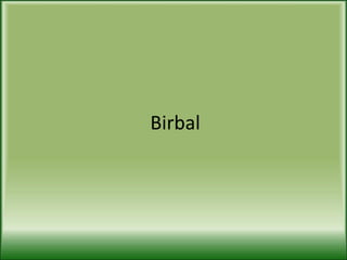 Birbal 