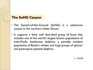  The Swatch-of-No-Ground (SoNG) is a submarine
canyon in the northern Indian Ocean.
 It supports a fairly well described group of fauna that
includes one of the world’s largest known populations of
Indo-Pacific bottlenose dolphins, a possibly resident
population of Bryde’s whales and large groups of spinner
and pantropical spotted dolphins.
The SoNG CanyonThe SoNG Canyon
(…Contd)
 