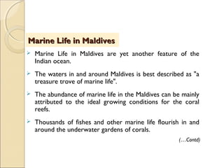  Marine Life in Maldives are yet another feature of the
Indian ocean.
 The waters in and around Maldives is best described as "a
treasure trove of marine life".
 The abundance of marine life in the Maldives can be mainly
attributed to the ideal growing conditions for the coral
reefs.
 Thousands of fishes and other marine life flourish in and
around the underwater gardens of corals.
Marine Life in MaldivesMarine Life in Maldives
(…Contd)
 