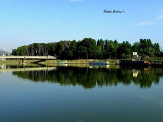 River Jhelum
 