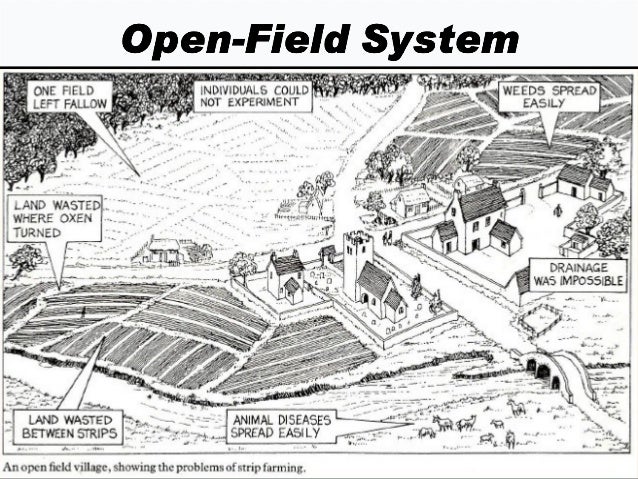 Open field farming before industrial revolution