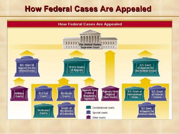 The inferior courts The inferior courts