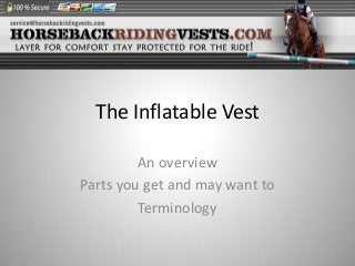 The Inflatable Vest
An overview
Parts you get and may want to
Terminology

 