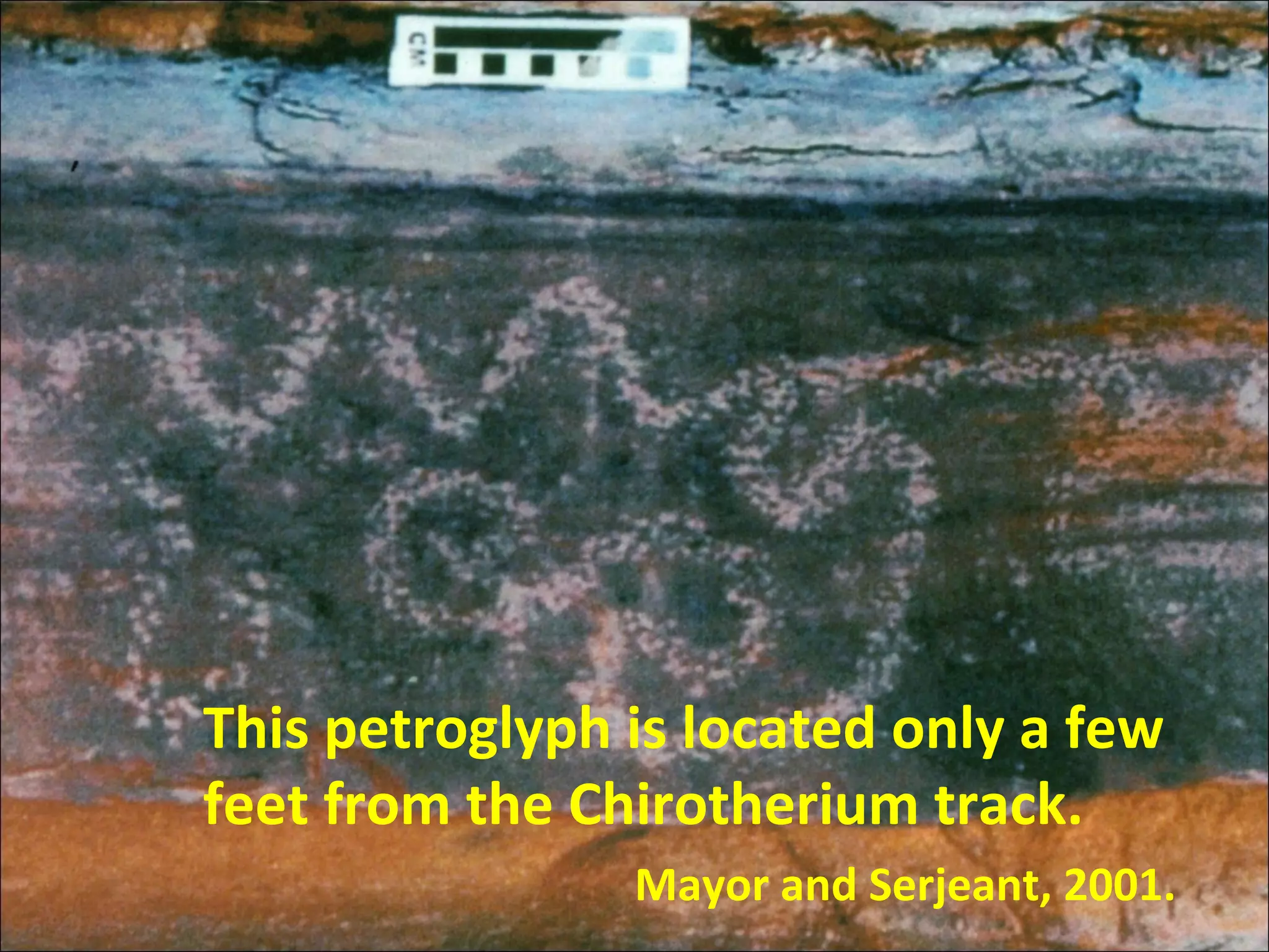 This petroglyph is located only a few
feet from the Chirotherium track.
Mayor and Serjeant, 2001.
 