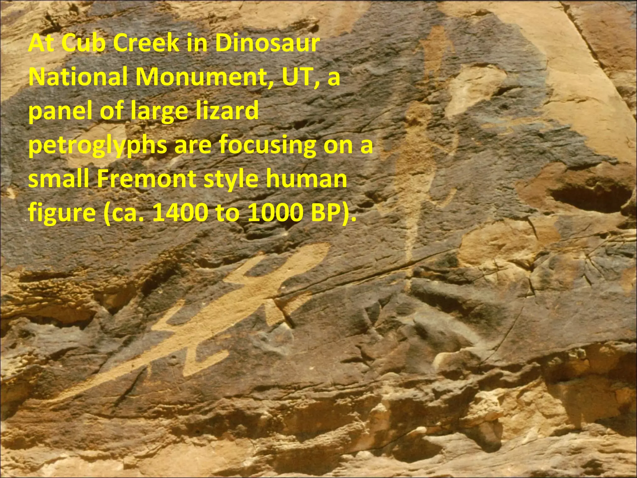 At Cub Creek in Dinosaur
National Monument, UT, a
panel of large lizard
petroglyphs are focusing on a
small Fremont style human
figure (ca. 1400 to 1000 BP).
 
