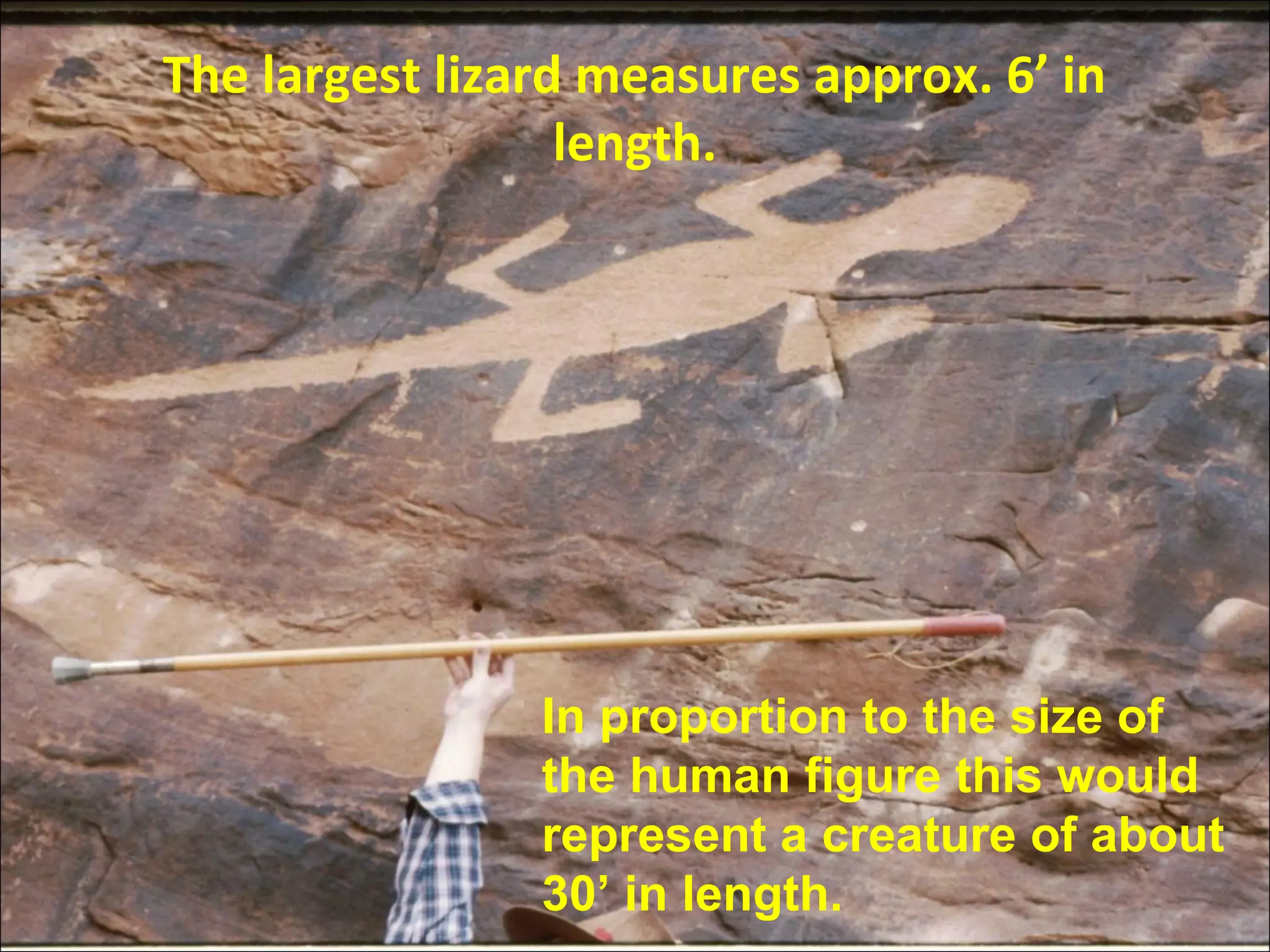 The largest lizard measures approx. 6’ in
length.
In proportion to the size of
the human figure this would
represent a creature of about
30’ in length.
 