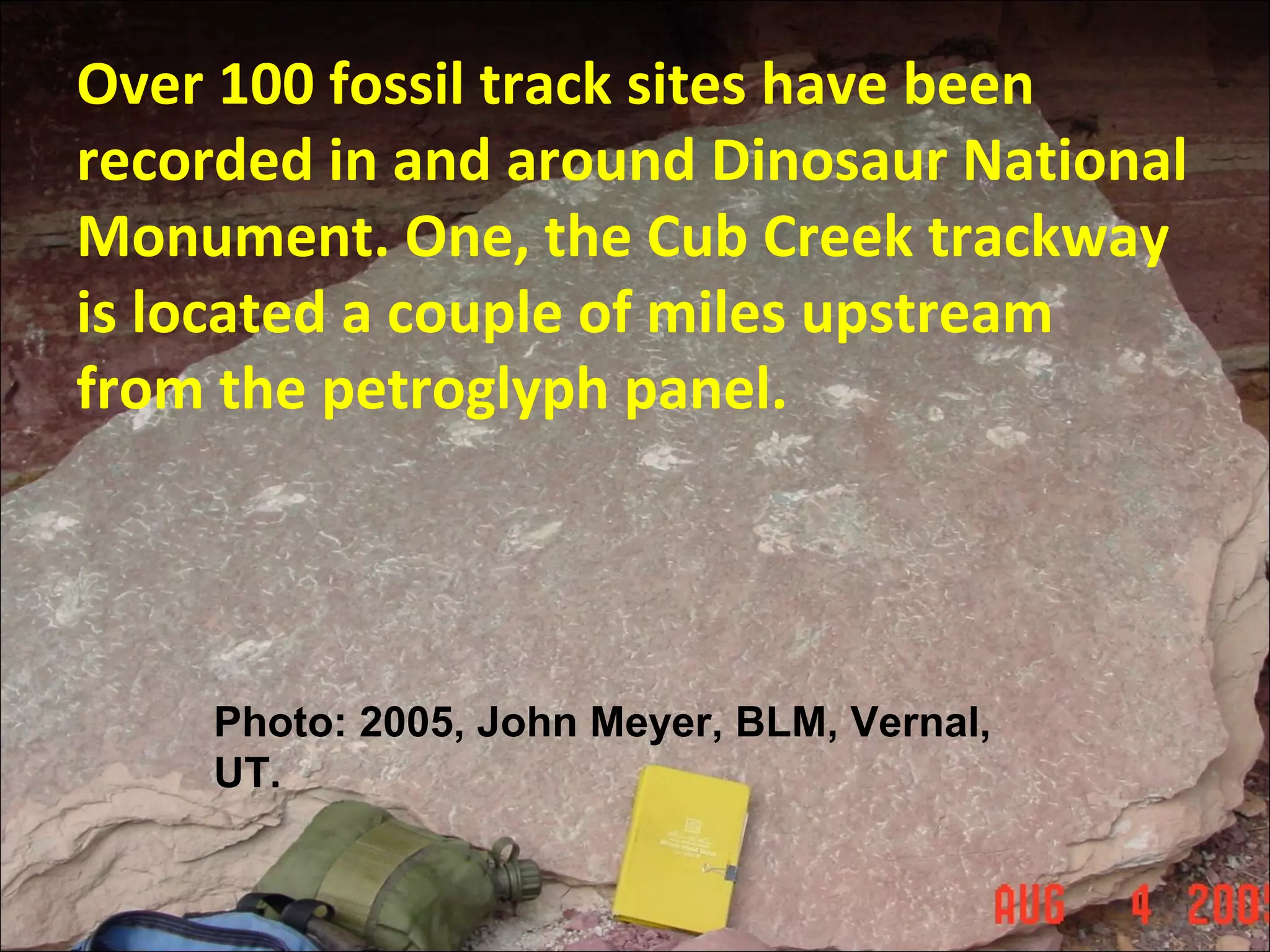 Over 100 fossil track sites have been
recorded in and around Dinosaur National
Monument. One, the Cub Creek trackway
is located a couple of miles upstream
from the petroglyph panel.
Photo: 2005, John Meyer, BLM, Vernal,
UT.
 