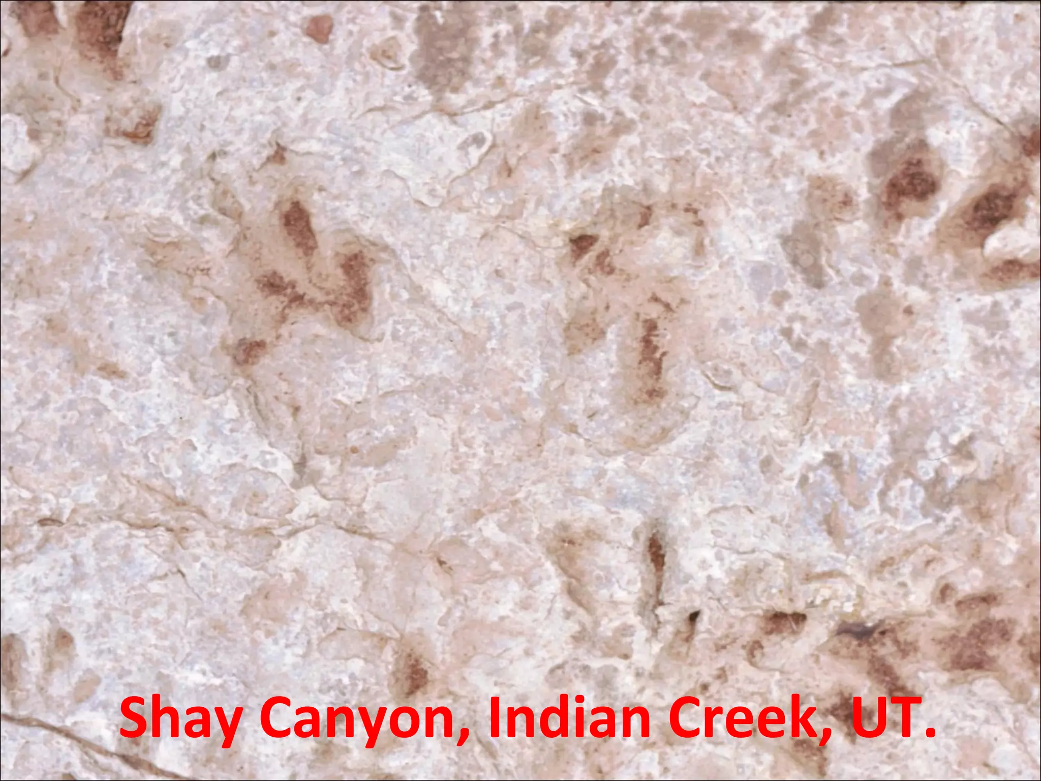 Shay Canyon, Indian Creek, UT.
 