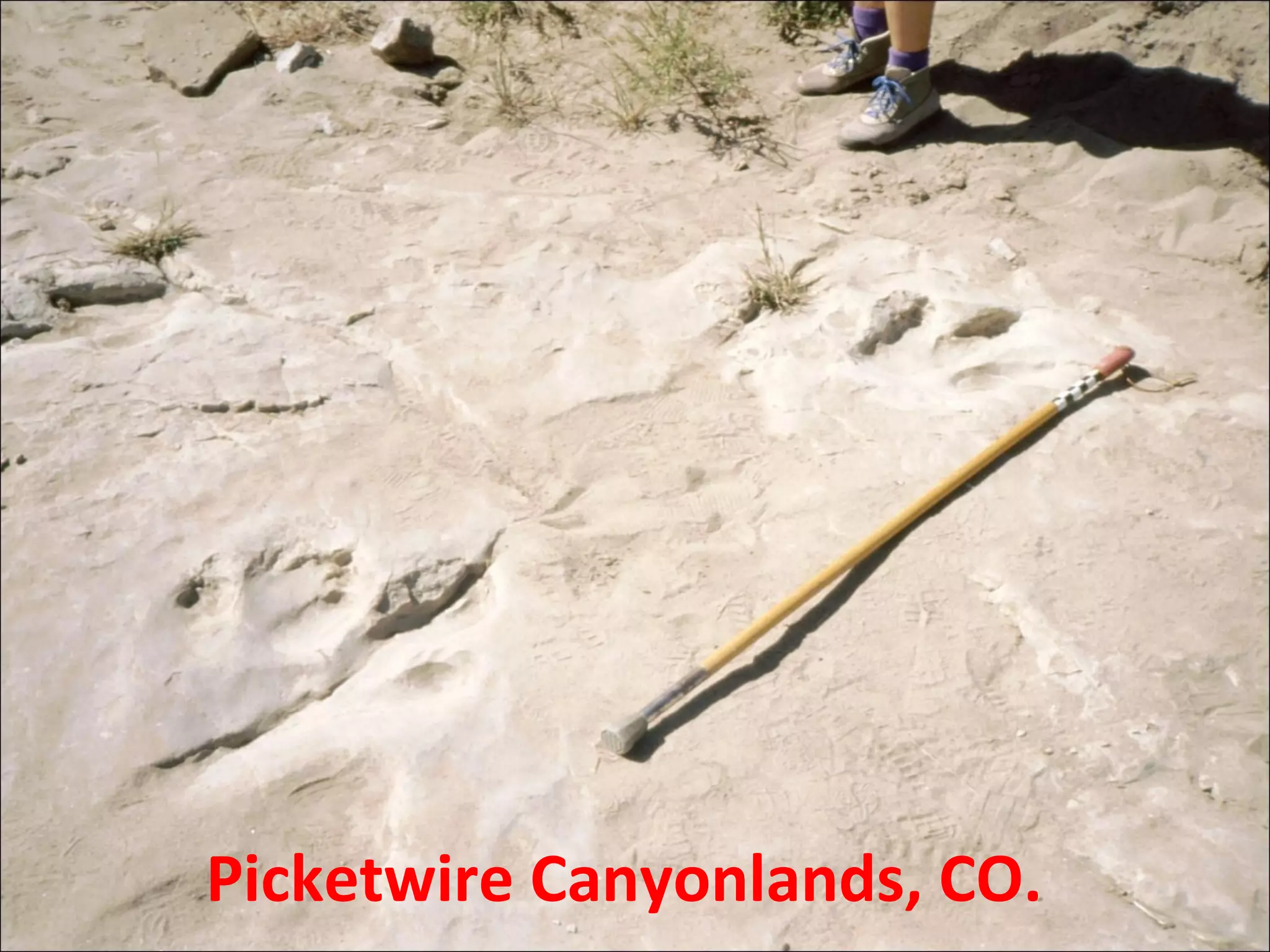 Picketwire Canyonlands, CO.
 