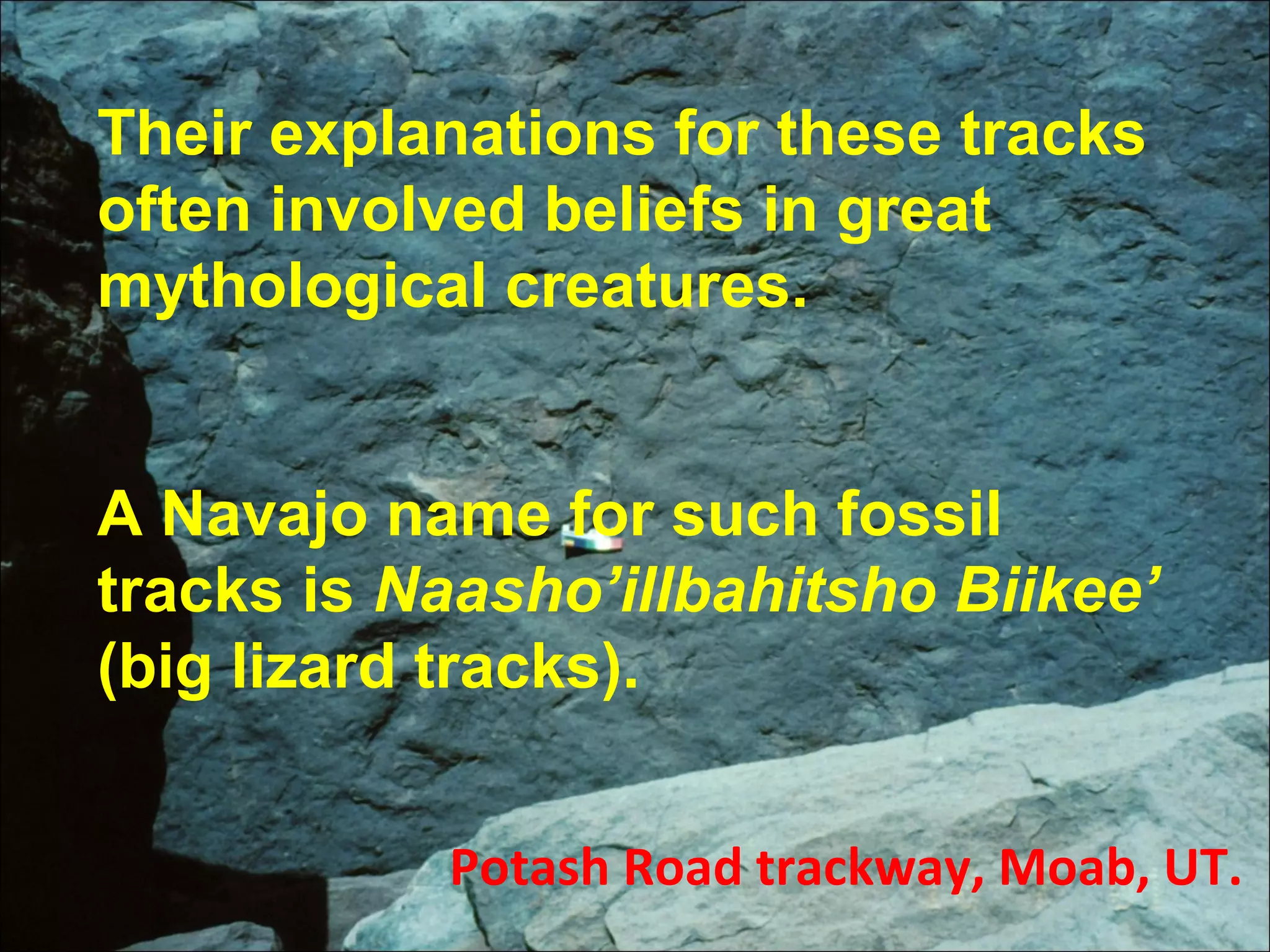 Potash Road trackway, Moab, UT.
Their explanations for these tracks
often involved beliefs in great
mythological creatures.
A Navajo name for such fossil
tracks is Naasho’illbahitsho Biikee’
(big lizard tracks).
 