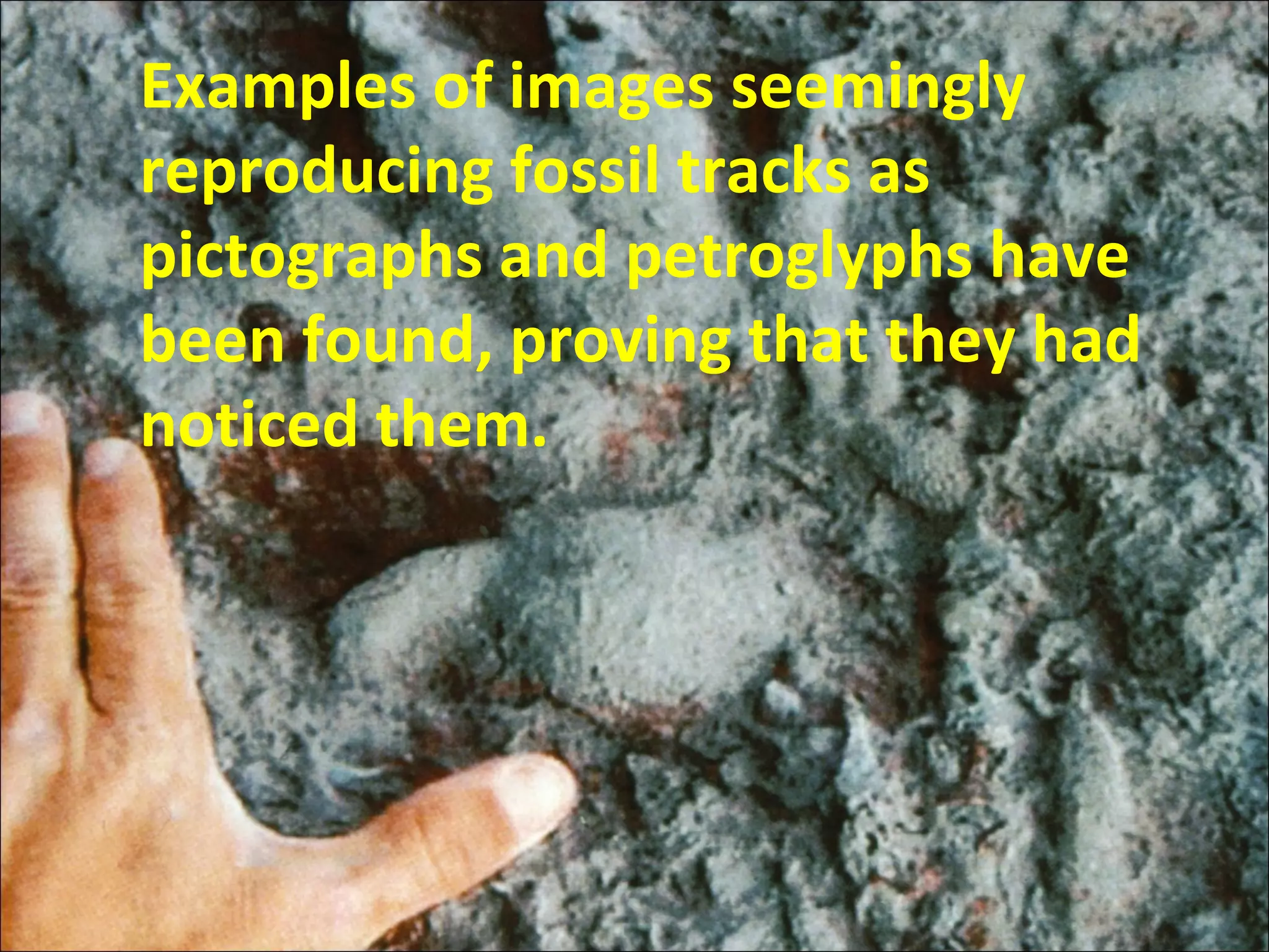 Examples of images seemingly
reproducing fossil tracks as
pictographs and petroglyphs have
been found, proving that they had
noticed them.
 