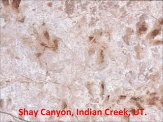 Shay Canyon, Indian Creek, UT.
 