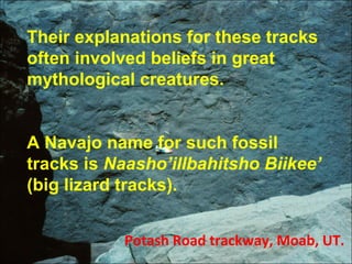 Potash Road trackway, Moab, UT.
Their explanations for these tracks
often involved beliefs in great
mythological creatures...