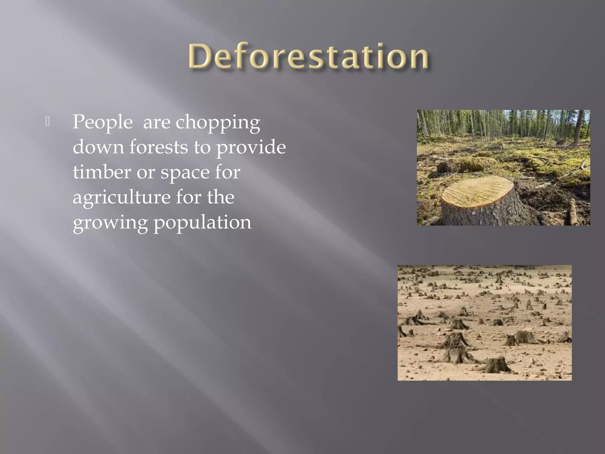  People are chopping
down forests to provide
timber or space for
agriculture for the
growing population