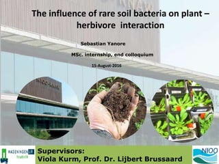 The influence of rare soil bacteria on plant –
herbivore interaction
Sebastian Yanore
MSc. internship, end colloquium
15-August-2016
Supervisors:
Viola Kurm, Prof. Dr. Lijbert Brussaard
 