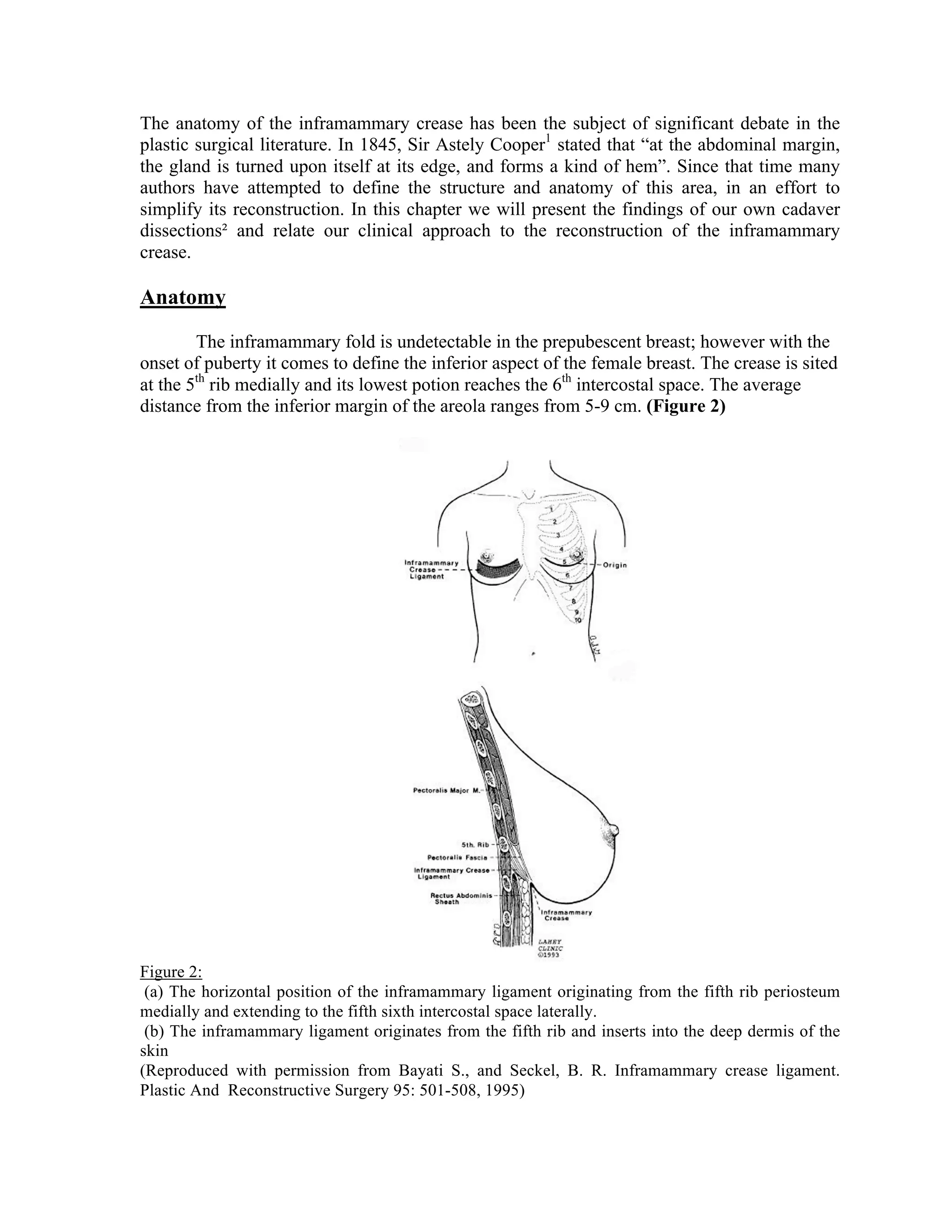 Inframamry Incision The Inframammary Crease | PDF
