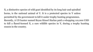 X, a distinctive species of wild goat identified by its long hair and spiralled
horns, is the national animal of Y. It is a protected species in Y unless
permitted by the government to kill it under trophy hunting programmes.
Recently, A US hunter named Bryan Kinsel Harlan paid a whopping 110,000 USD
to kill a flared-horned X, a rare wildlife species in Y, during a trophy hunting
season in the country.
 