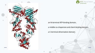 The inhibition and function of heat shock protein 90 | PPTX