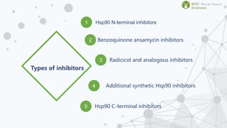 The inhibition and function of heat shock protein 90 | PPTX
