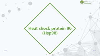Heat shock protein 90
(Hsp90)
 
