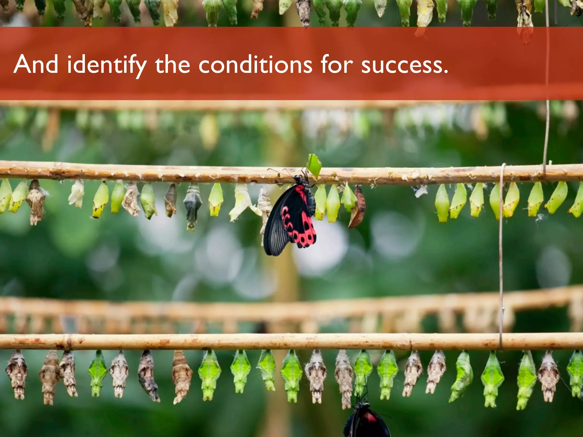 And identify the conditions for success.




Luminary Labs                              33
 