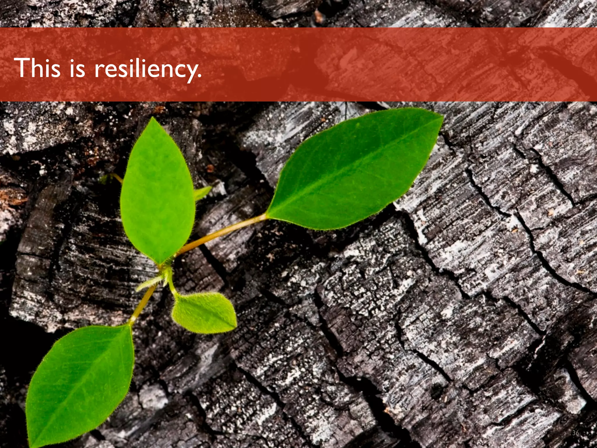 This is resiliency.




Luminary Labs         36
 