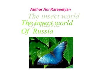 Author Ani Karapetyan
 