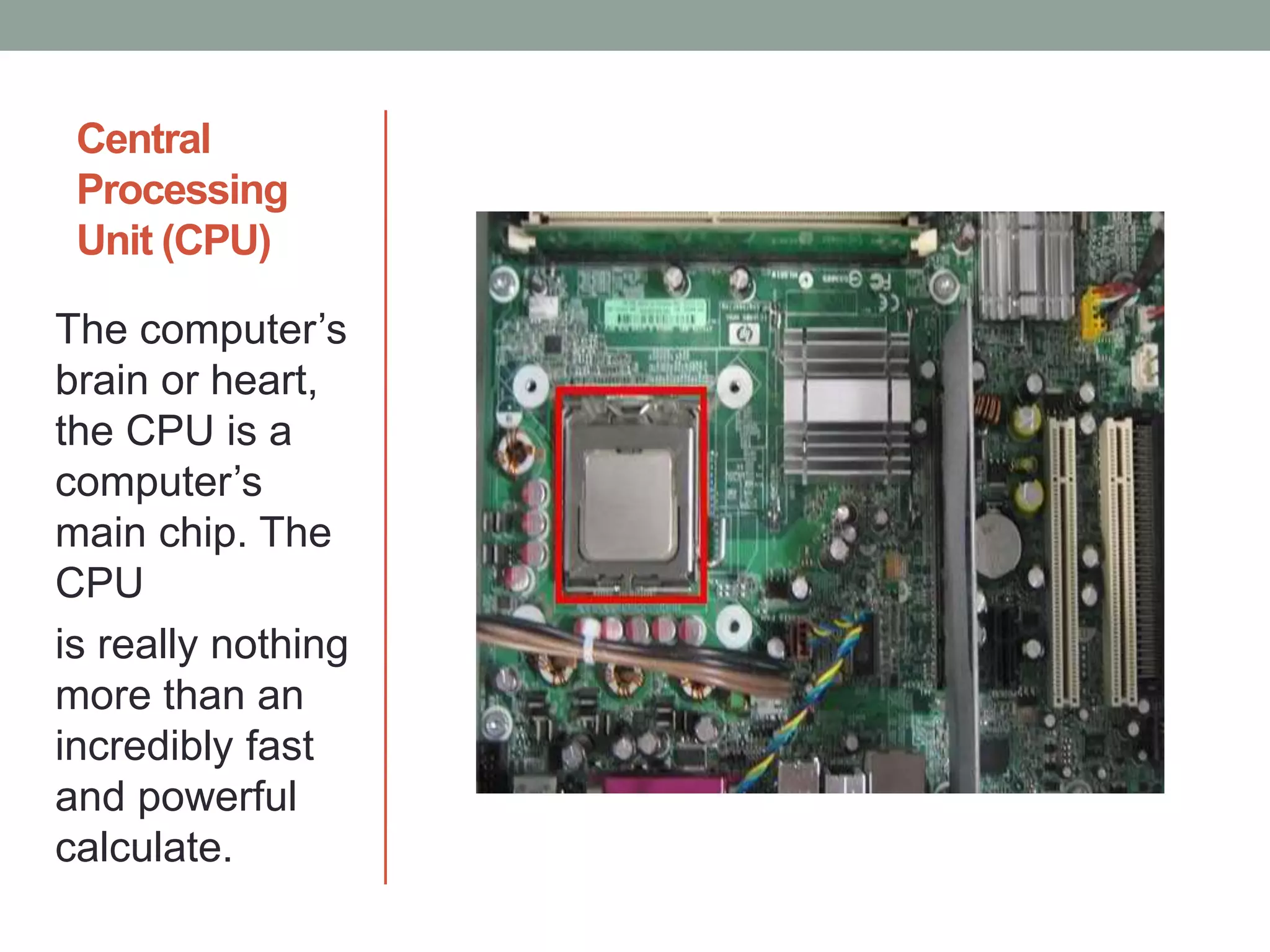 Central
Processing
Unit (CPU)
The computer’s
brain or heart,
the CPU is a
computer’s
main chip. The
CPU
is really nothing
more than an
incredibly fast
and powerful
calculate.