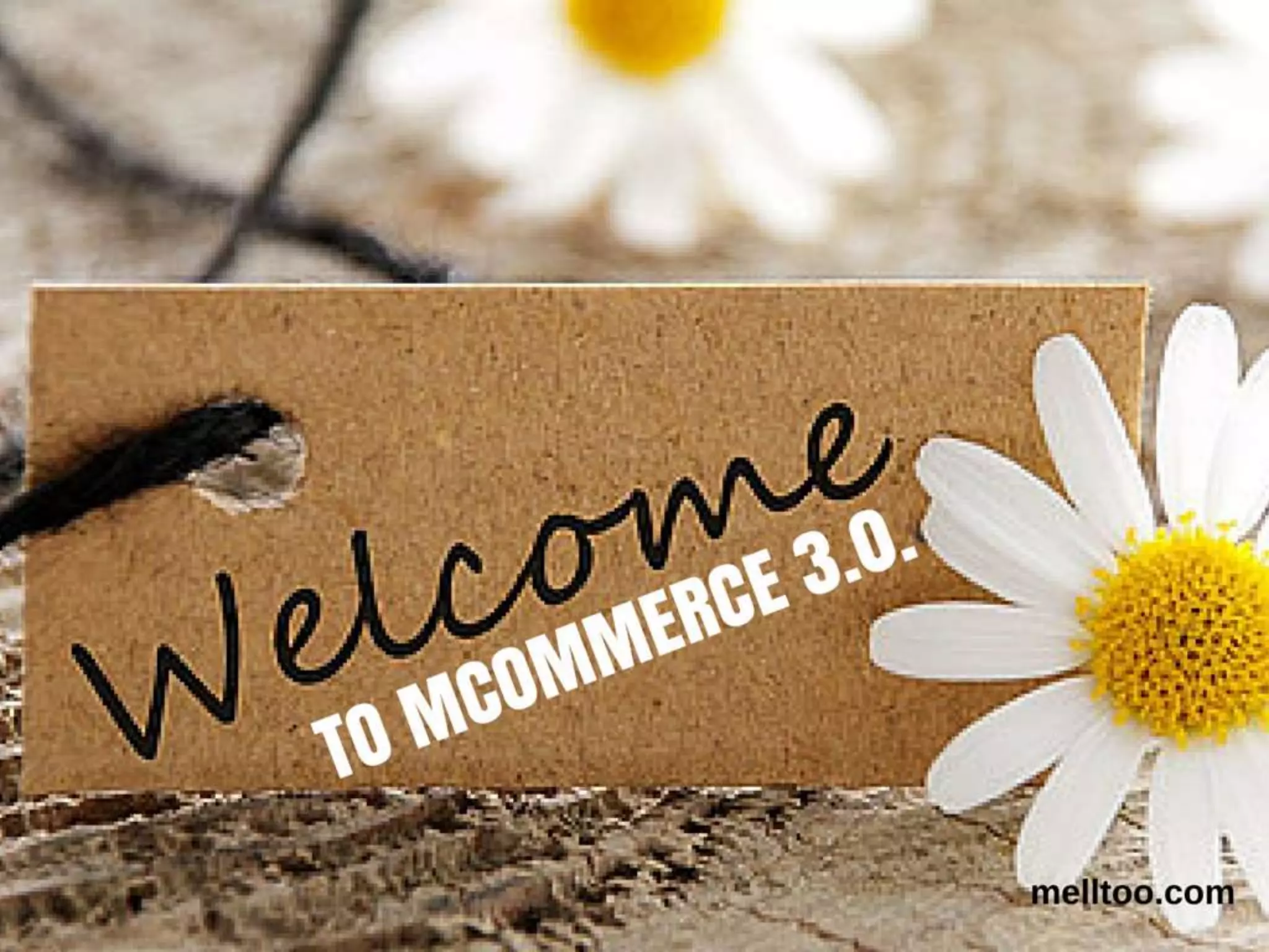 The instagram shopping experience