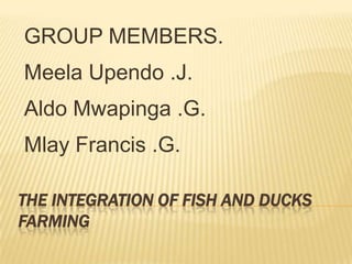 GROUP MEMBERS.
Meela Upendo .J.
Aldo Mwapinga .G.
Mlay Francis .G.

THE INTEGRATION OF FISH AND DUCKS
FARMING
 