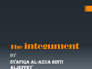 The integument
by
Syafiqa Al-Azua Binti

 