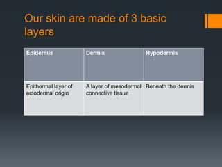 Our skin are made of 3 basic
layers
Epidermis

Dermis

Hypodermis

Epithermal layer of
ectodermal origin

A layer of mesodermal Beneath the dermis
connective tissue

 