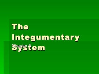 The Integumentary System Chapter 5 
