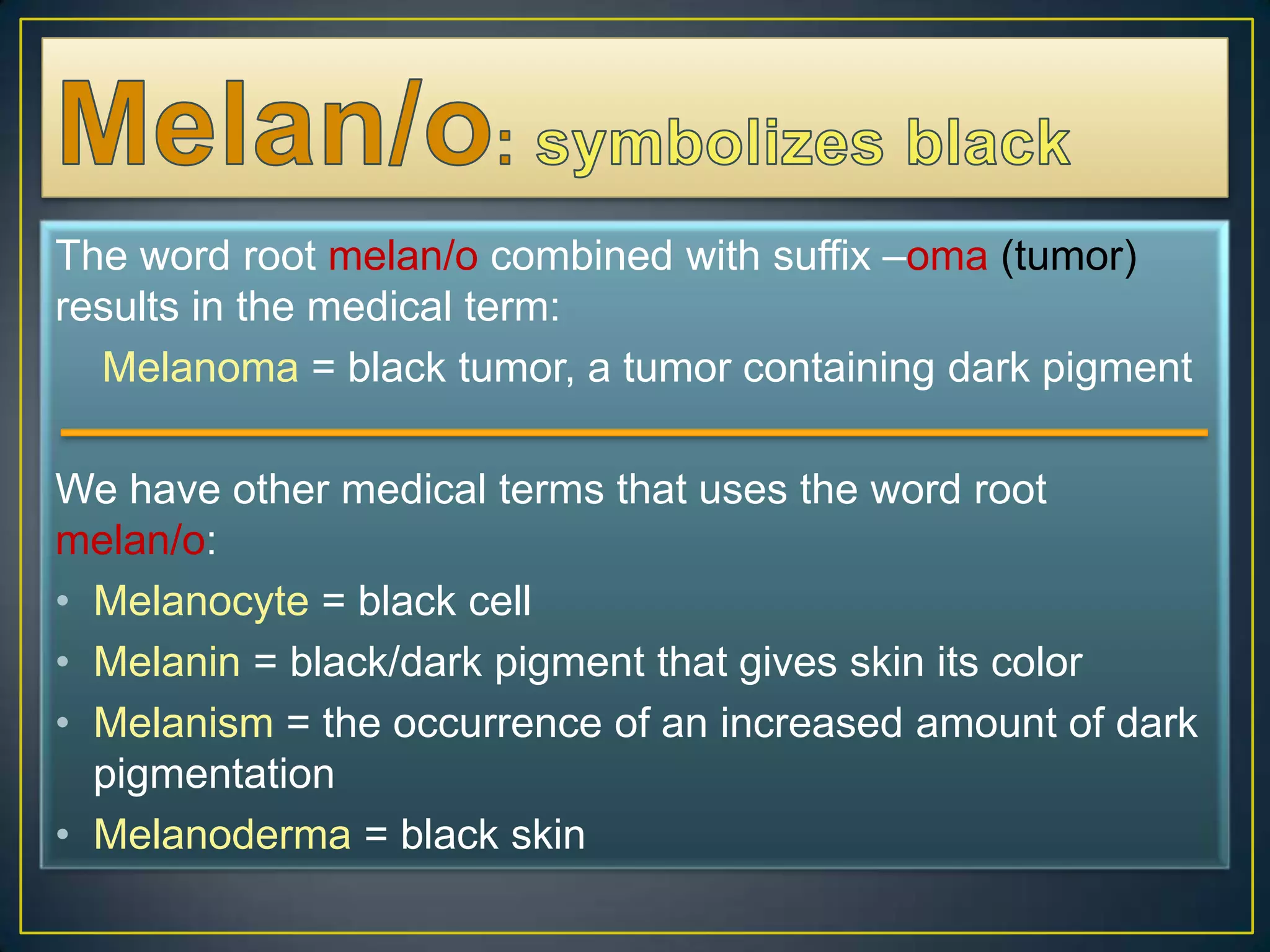 The integumentary system | PPTX