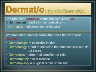 Dermat/o:symbolizes skinThe root word dermat/o combined with suffix -itis (inflammation)  results in the medical term: Dermatitis= inflammation of the skinWe have other medical terms that uses the word root dermat/o:Dermatologist = specialist in skinDermatology = part of medicine that handles skin and its  	               diseasesDermatosis = abnormal condition of skinDermatopathy = skin diseaseDermatoplasty = surgical repair of the skin