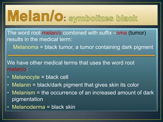Melan/o:symbolizes blackThe word root melan/o combined with suffix –oma(tumor) results in the medical term:Melanoma=black tumor, a tumor containing dark pigment We have other medical terms that uses the word root melan/o:Melanocyte = black cellMelanin = black/dark pigment that gives skin its colorMelanism = the occurrence of an increased amount of dark                pigmentationMelanoderma = black skin 