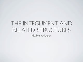 THE INTEGUMENT AND
RELATED STRUCTURES
      Ms. Hendrickson
 