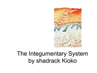 The Integumentary System
by shadrack Kioko
 
