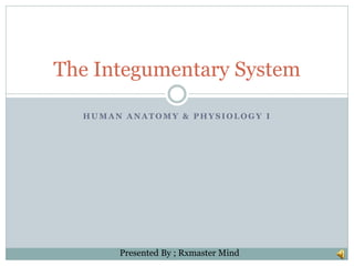 HU M A N A NA T OM Y & PHYSIOLOGY I
The Integumentary System
Presented By ; Rxmaster Mind
 