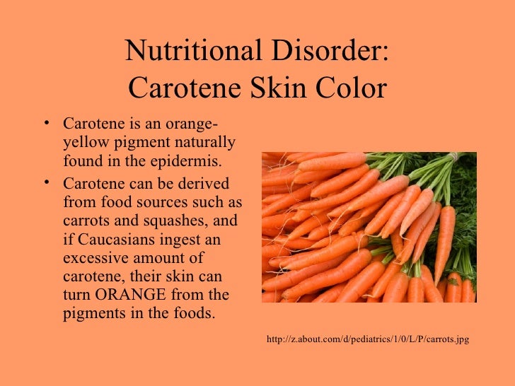 The Integumentary System Bethany, Susan