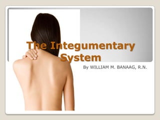 The Integumentary
      System
        By WILLIAM M. BANAAG, R.N.
 