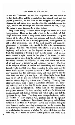 rHE TREES OF OLD ENGLAND.                       491
  of the Old Testament, we see that the passions and the events of
  to-day, the fidelities and the inconstan~ies, the lettered beech and the
. poplar by the river, are the same old and long-past ones over again.
  Human life and nature are everywhere like the waterfalls among the
  Alps, sparkle, and teardrops, and rainbows whenever we look, though
  the stream is never the same for a sirtgle instant.
     Early in the spring the beech seems everywhere armed with little
  brown spikes. These are the buds, which in the peculiarity of their
  shape differ from those of every other British forest-tree. They are
  formed at the close of the previous autumn, and though during the
  winter the increase in size is scarcely perceptible, there appears to be
  still a slow progression. One of 'the most beautiful and suggestive
  phenomena in connection with tree-life is this early commencement
  of Spring. For while the almanac states March or April to be the
  beginning, and while our own first impressions seem to confirm it, in
 truth the beginning of Spring. is many months before. Just as on a
 sweet summer's night, before the last glow of the sunset has quite
 departed, Aurora peeps from the east, so at the close of summer, if we
 look sharp, we may find indications on every hand, that a new season
 of life and energy is in reserve, and beginning even now. The buds
 of the hedgerow willows are swollen, and often shining and silvery with
 the soft white silk -that wraps their contents; the alder-trees and the
 hazels are hung with the green rudiments of their intended catkins;
 every musician has his instrument ready, and waits only to see the
 lifted hand that shall give the signal. All things begin farther back
than we are apt to IIlppose; nature's cradles, like those of wicker,
 have not more of beginning in them than of ending. Presently these
 little brown spik~s begin to open at their sharp extremities. The cover..
 ings roll away, and in due time fall to the ground, strewing the surface
till it looks like a threshing-floor. At the same time are disclosed the
young green leaves and the inner coverings, which are of a delicate pink
 colour, dry, soft and shining, wavy and half-curled, and so thin that the
light goes through them. They hang about the opening leaves, and in
the contrast of their exquisite tint, produce one of the jveliest
spectacles of the vernal season. Botanists call these pretty and transitory
vestments of the buds the "perules." Every tree possesses analogous
ones, larger or smaller, according to the species, but in none are they
more delicately fashioned or tinted. The leaves themselves are doubled
up precisely after the manner of a lady's fan, whence it is that on a fine
warm day, in the beech (as happens in the sycamore and several othe~
 